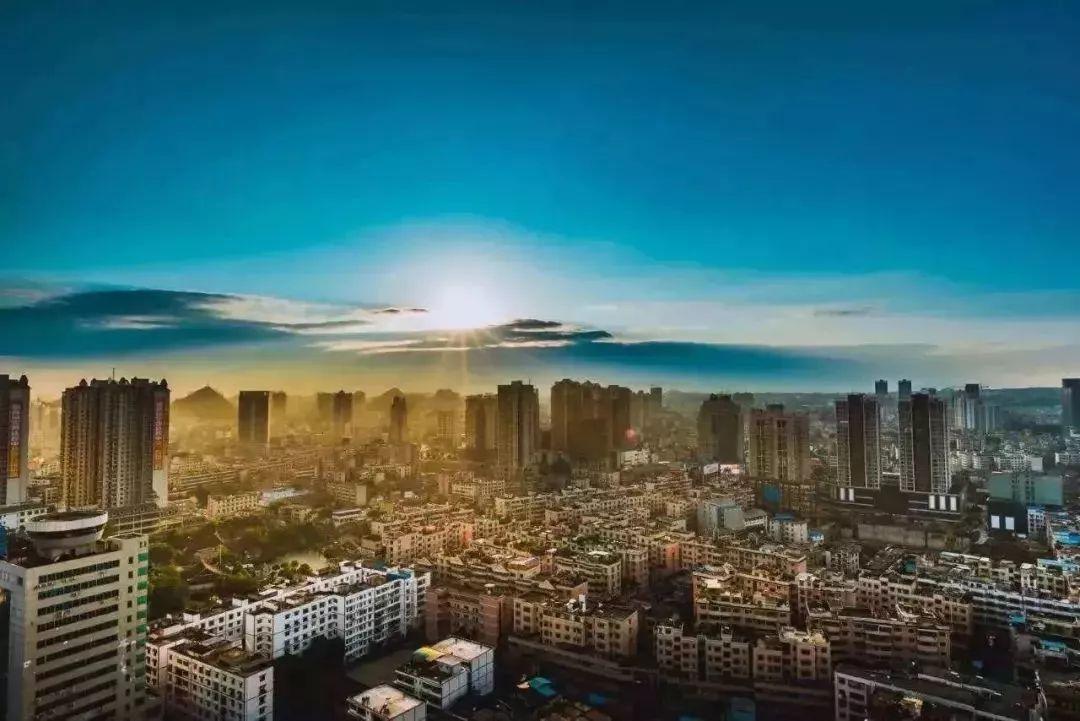 博民生物科技 第292页
