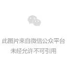 林州最新会表,林州最新时尚潮流，一场视觉与艺术的盛宴