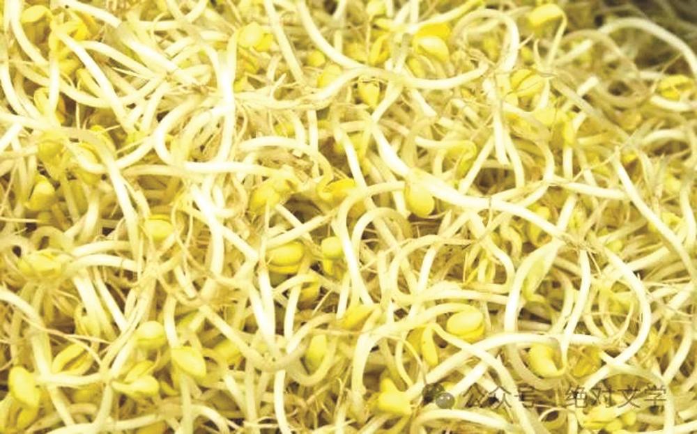 豆芽最新新闻,豆芽产业的最新新闻，探索绿色蔬菜的未来之路，豆芽产业最新动态，探索绿色蔬菜未来之路