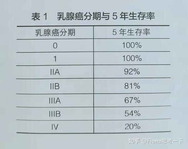 最新乳腺分型,最新乳腺分型，解锁女性健康新篇章，最新乳腺分型揭秘，女性健康的新篇章解锁