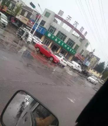 博民生物科技 第299页