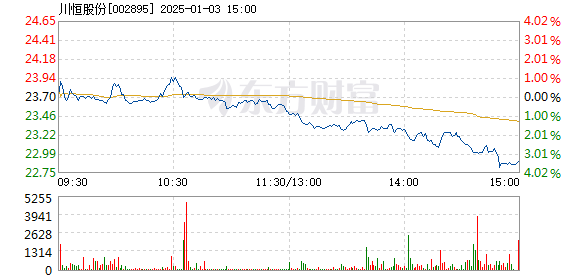 川恒股份最新消息,川恒股份最新动态,创新突破与市场展望,川恒股份创新突破与市场展望的最新动态及消息