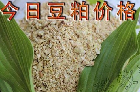 博民生物科技 第236页