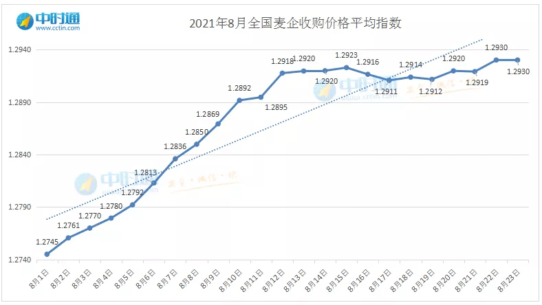 今日小麦最新价格走势,今日小麦最新价格走势分析,今日小麦价格走势及分析,最新市场动态概览