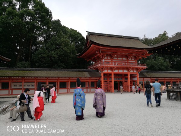 琉璃神社最新,琉璃神社的最新魅力，一场文化与艺术的盛宴，琉璃神社最新魅力展现，文化与艺术的盛大盛宴