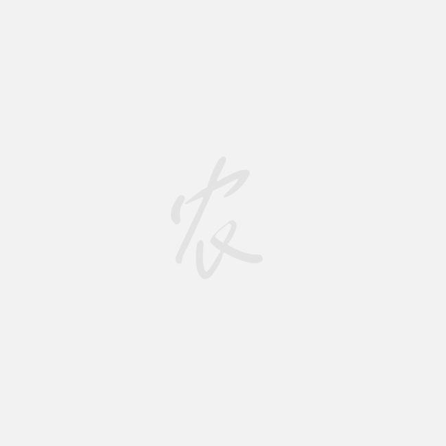 口腔卫生用品 第233页