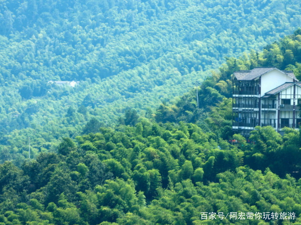永川茶山竹海最新,永川茶山竹海新探，自然之韵，心灵之旅，永川茶山竹海新探，自然与心灵的交融之旅