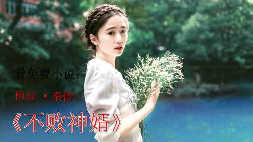 杨辰秦惜最新,杨辰秦惜——最新篇章的情感交织,杨辰秦惜最新篇章,情感交织的深度探索
