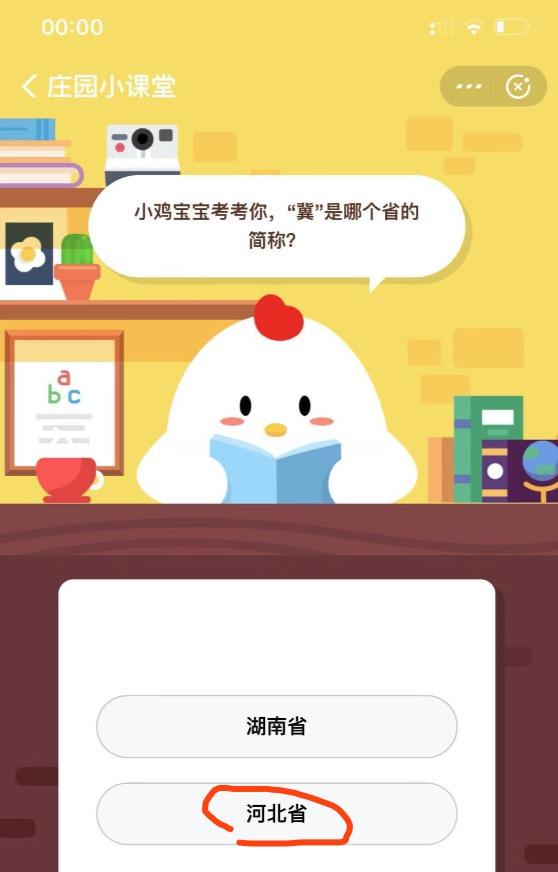 今日最新小鸡答案是,今日最新小鸡答案,探索知识的奥秘与乐趣,今日最新小鸡答案揭秘,探索知识的奥秘与乐趣之旅