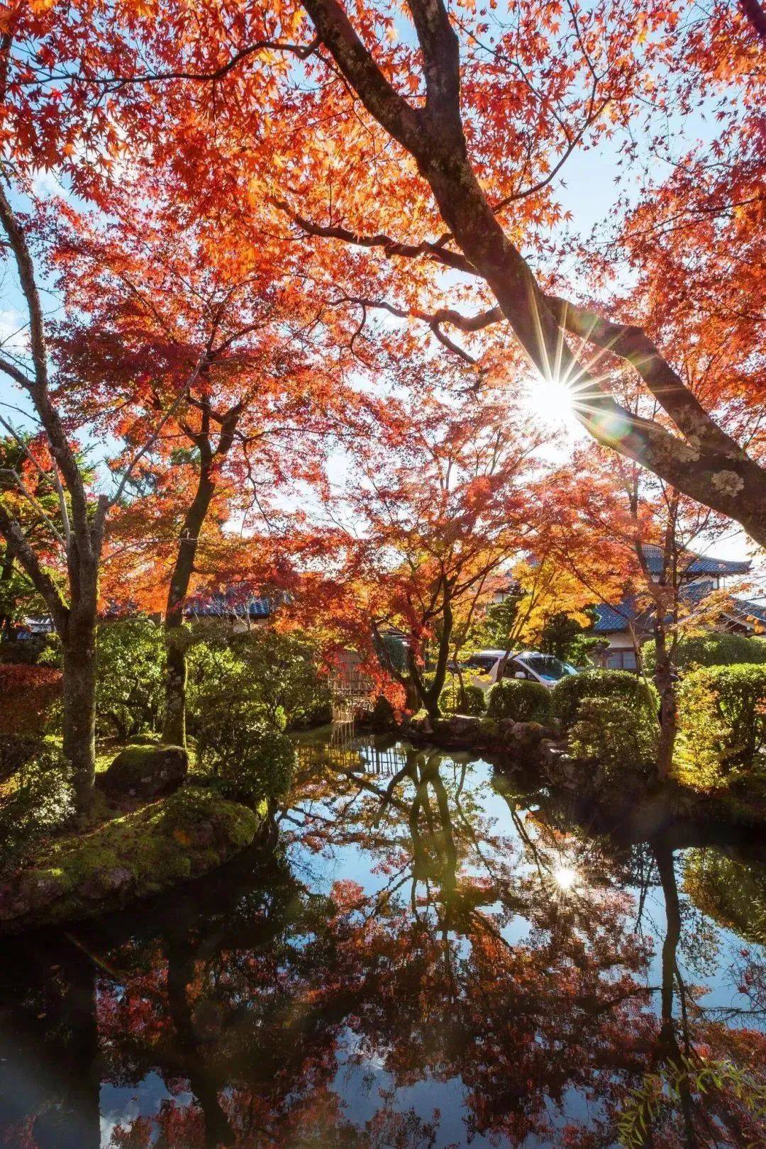 日本九月最新,日本九月最新风情与独特魅力,日本九月独特风情与最新魅力展示