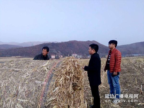 凯迪电厂最新公告,凯迪电厂最新公告引领未来能源发展之路,凯迪电厂最新公告揭示未来能源发展引领之路