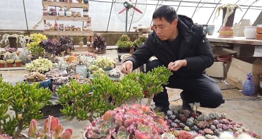 鹿泉兼职信息,鹿泉兼职信息，探索多元化兼职的新世界，鹿泉兼职信息探索，多元化兼职的新世界
