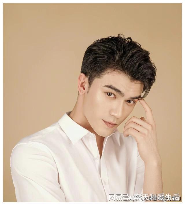 混血男演员,混血魅力，男演员的独特风采与无限可能，混血男演员的独特魅力，展现多元文化交融的无限风采与可能