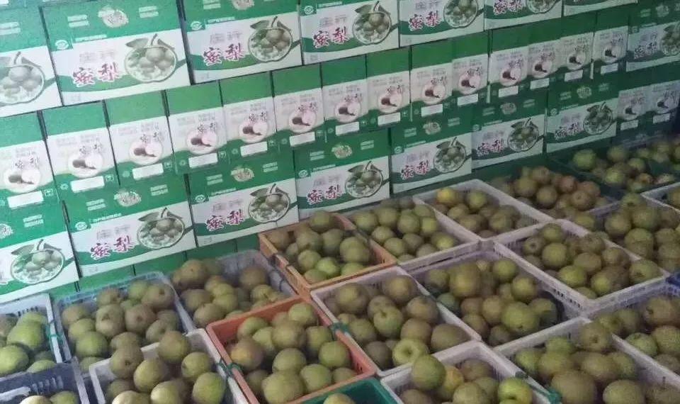 庄行蜜梨上市时间,庄行蜜梨，一场甜蜜的上市时间盛宴，庄行蜜梨上市，一场甜蜜的盛宴开启！