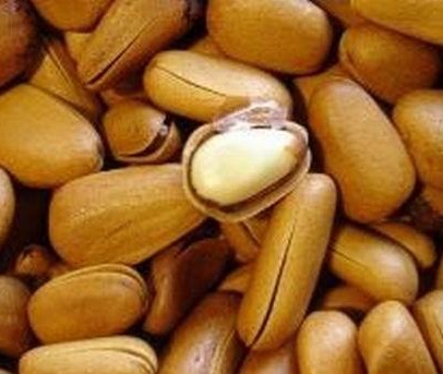 口腔卫生用品 第120页