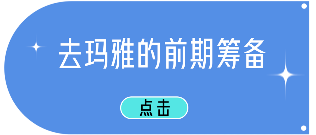 玛雅最新网站,玛雅最新网站，探索神秘文化的窗口，玛雅最新网站，探索神秘文化的门户