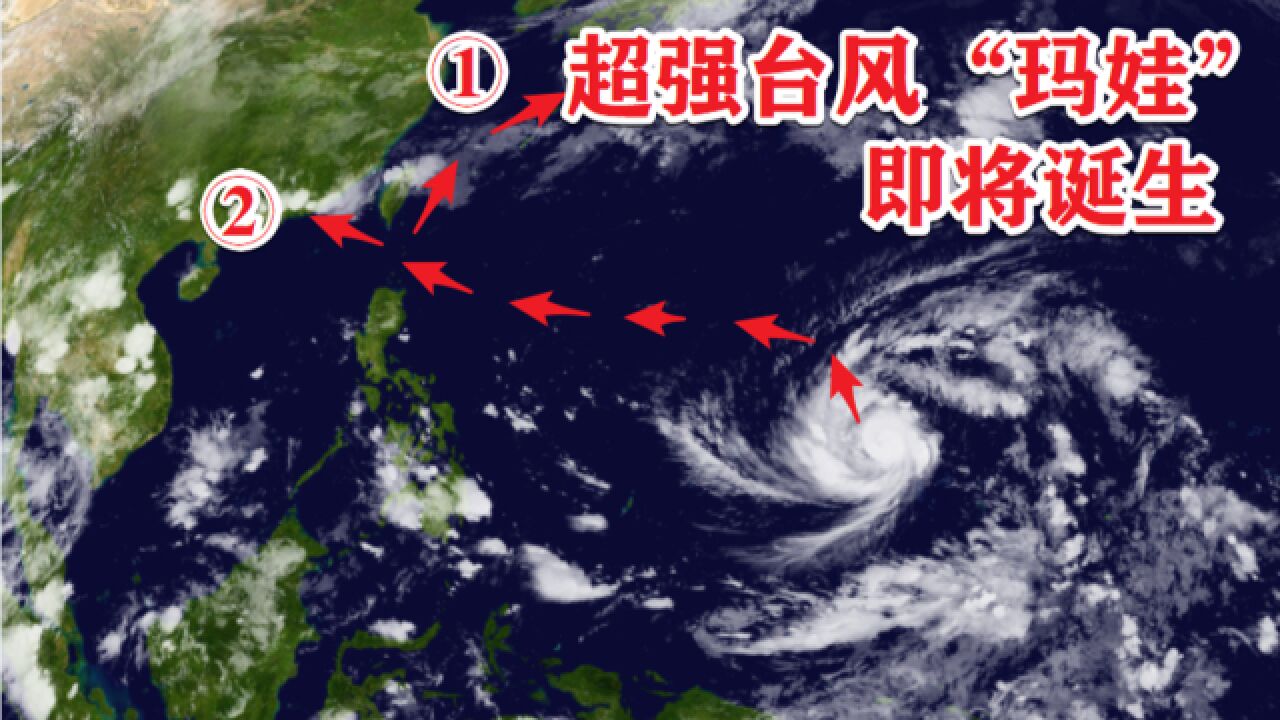 易舒洁免洗手消毒液 第25页